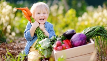 Imparare coltivando: l’orto come laboratorio di vita per i bambini