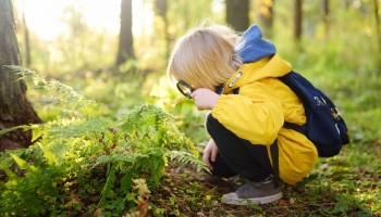 Giochi ecosostenibili: scegli qualità e rispetto per l'ambiente